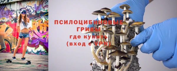 синтетический гашиш Алексин